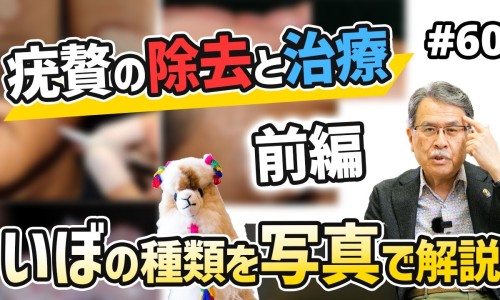 土参茎的功效与作用及禁忌-土参茎的功效与作用网- 秃参的功效与作用知识,分享土参的功效和作用